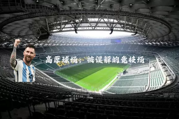 高原球场：被误解的竞技场